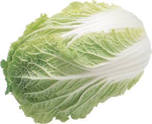 Salad PNG image-2807